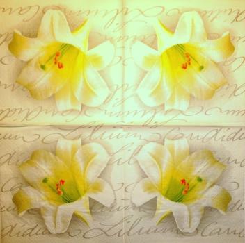 120 Lilies - 3-ply